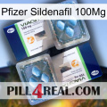 Pfizer Sildenafil 100Mg viagra5